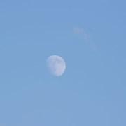 Moon