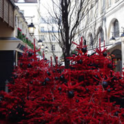 Christmas decoration in shopping mall