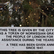 Tree from Norwegian