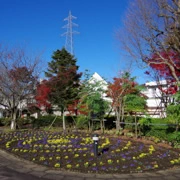 相模湖公園內。