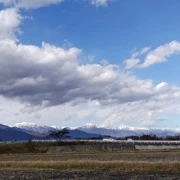 長野県稻田加上大直路場面回來了。