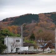 老早就來到大谷街道。