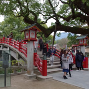 太鼓橋。