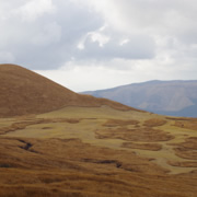 山上圖騰。