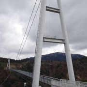 又回來『九重夢大吊橋』。