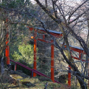 鳥居之間其實還有不少空位。