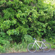 路上單車。