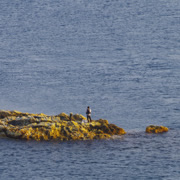 日禦碕海邊。