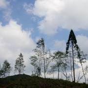 前往溫井ダム路上。