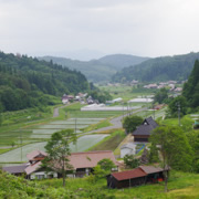 前往溫井ダム路上。