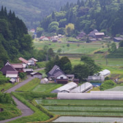 前往溫井ダム路上。