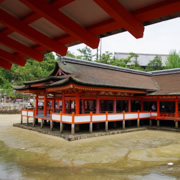 宮島神社內。