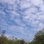 天満宮內。