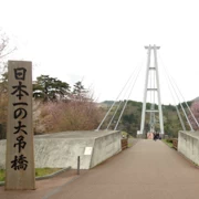 來到『九重夢吊橋』。