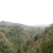 『九重夢吊橋』旁邊山岳。