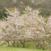 九重白蛇参拝所・龍昇院