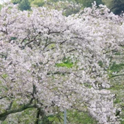 血の池地獄門口停車場‧‧‧