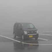 霧中車。