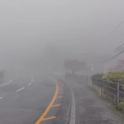 霧中道。