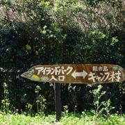 左穿右插，居然走出了公園範圍。