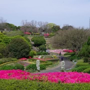 園內不同既花卉。