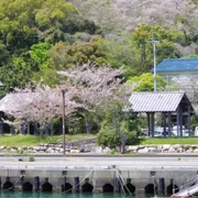 離開寧靜既小島。