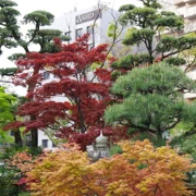 東長寺既紅葉。