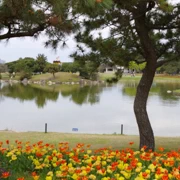 『海の中道海浜公園』既花卉。