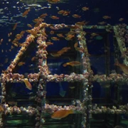 水族館內。