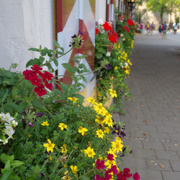 露芙堡。