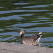 奧運公園內。