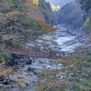 祖谷藤蔓橋。