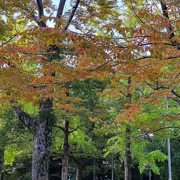 從『慈仙寺の鼻』開始『平和記念公園』之旅。