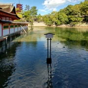 來到宮島神社。