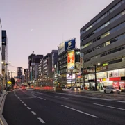 有VISIT HIROSHIMA TOURIST PASS，隨便跳車都可以。