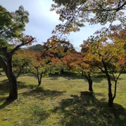 岡山後樂園內。