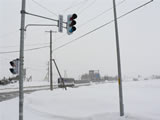 離開熊牧場，踏上今天的滑雪之旅。