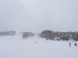 自己不懂滑雪，看一下人也好。