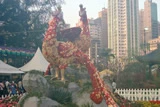 花卉展覽‧2005