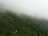 雲霧下的小路，就是免費前往東涌的行山路線。