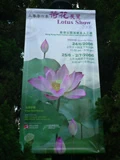 荷花活動‧2006