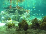 海洋公園‧2006