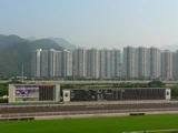 賽馬‧沙田馬場