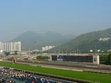 賽馬‧沙田馬場
