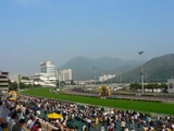 賽馬‧沙田馬場