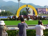 賽馬‧沙田馬場