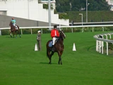賽馬‧沙田馬場