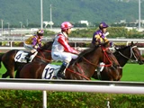 賽馬‧沙田馬場