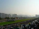 賽馬‧沙田馬場