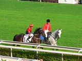 賽馬‧沙田馬場